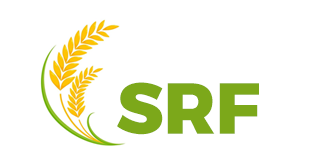 01 Logo
